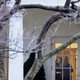 Illustration for article titled An Inside Look at Brad & Angelina's Oval Office Chat With Obama